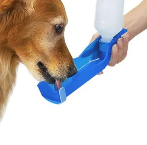 Garrafa  bebedouro para cães e gatos